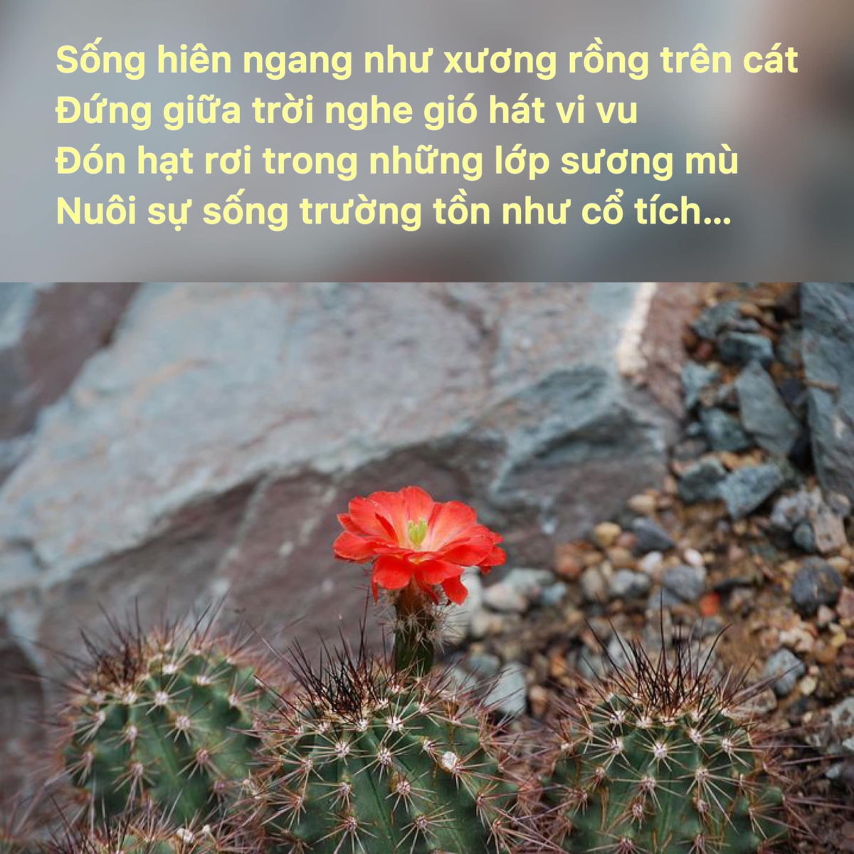 Read more about the article HÀNH TRÌNH MỚI !