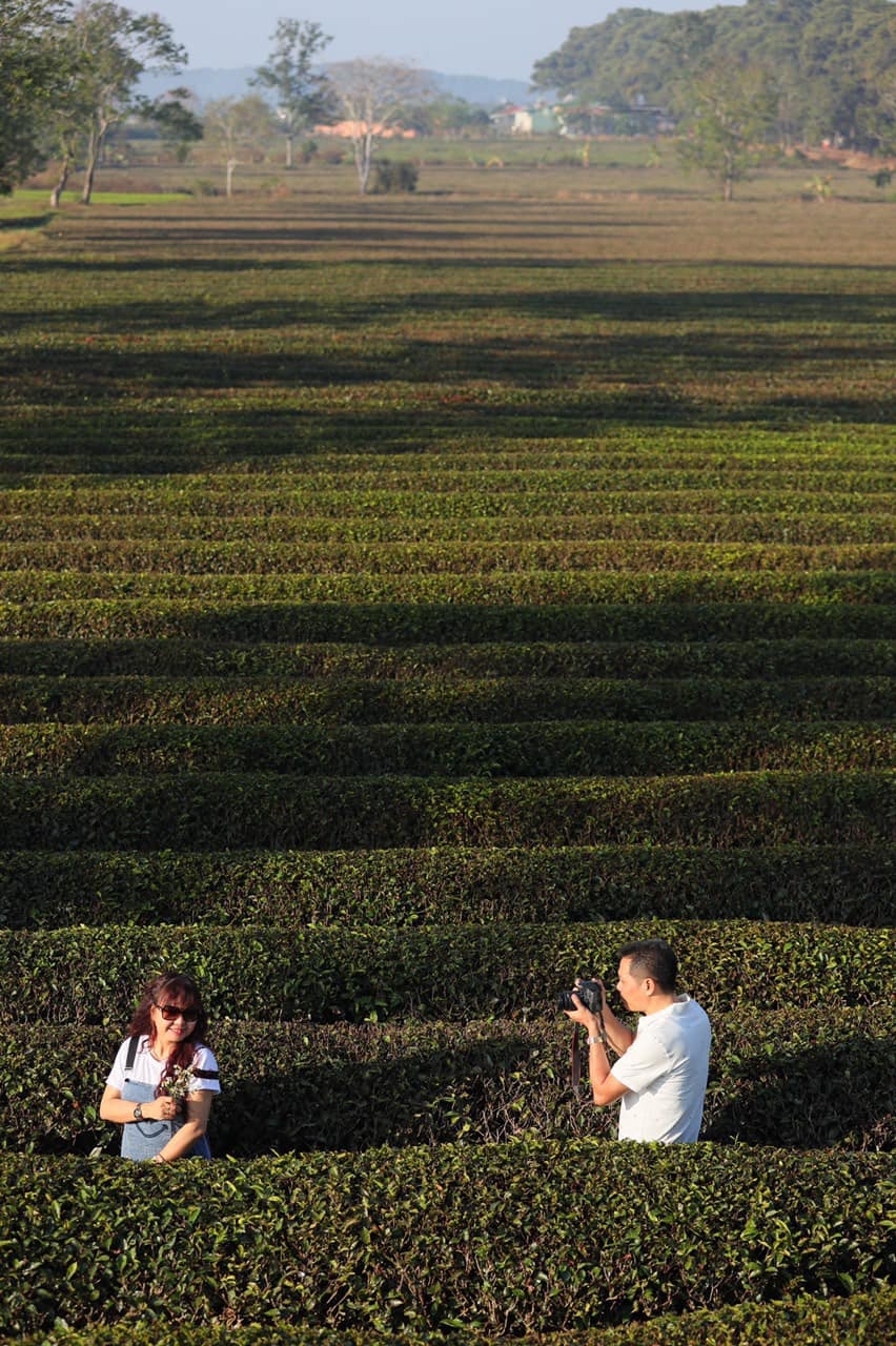 Read more about the article TÁC NGHIỆP