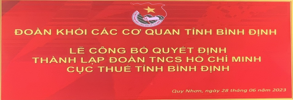 Read more about the article ĐOÀN TNCS HỒ CHÍ MINH TRONG TRÁI TIM TÔI !