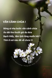 Read more about the article PHONG CÁCH SỐNG – VÃN CẢNH CHÙA