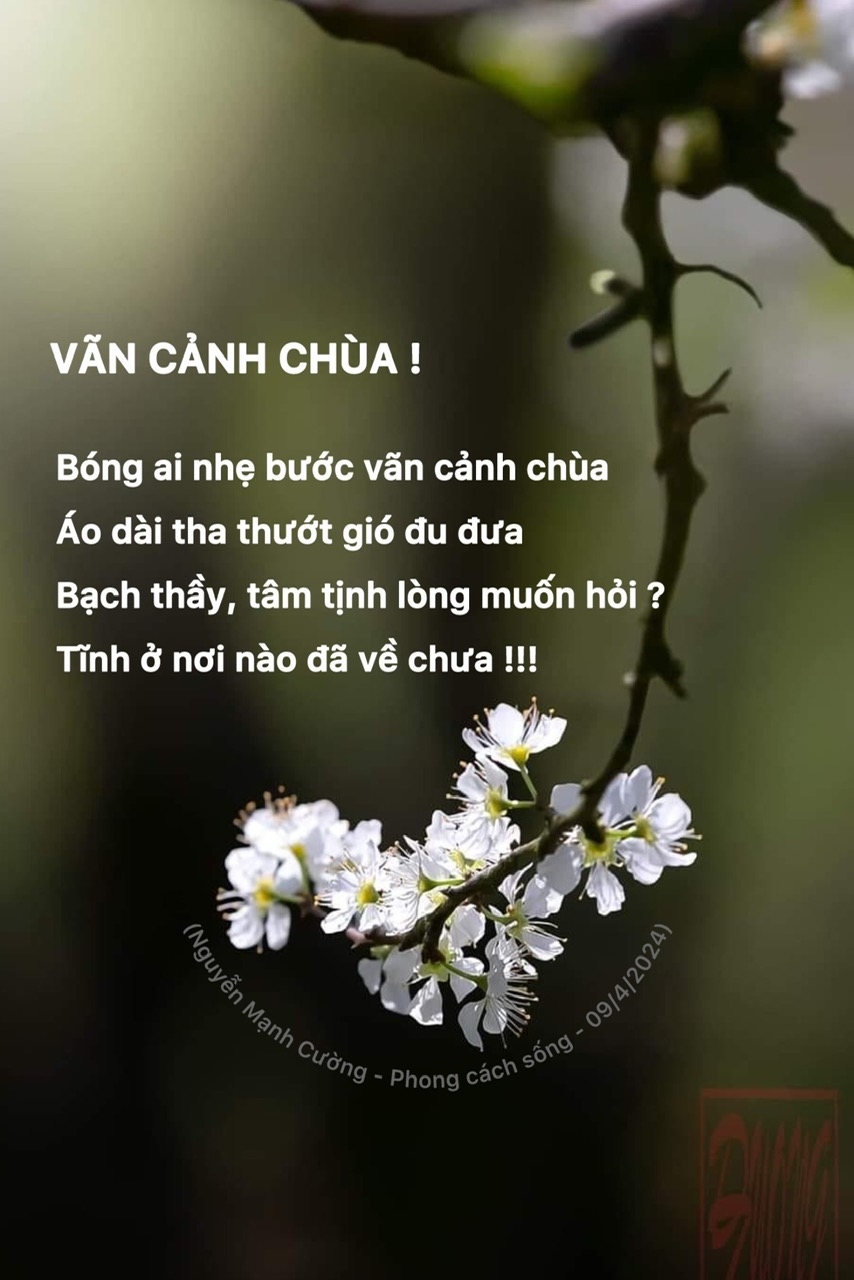 You are currently viewing PHONG CÁCH SỐNG – VÃN CẢNH CHÙA